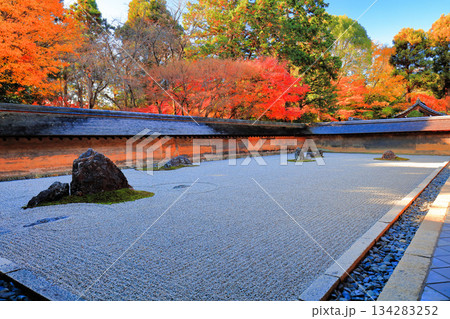 【京都府】龍安寺の石庭と紅葉 【京都府】龍安寺の石庭と紅葉 134283252