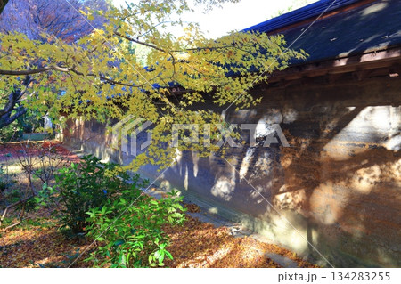 【京都府】龍安寺の油土塀と紅葉 134283255