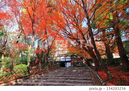 【京都府】龍安寺の紅葉 【京都府】龍安寺の紅葉 134283256