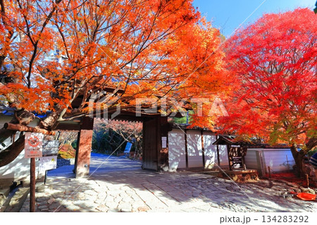 【京都府】龍安寺の山門の紅葉 134283292