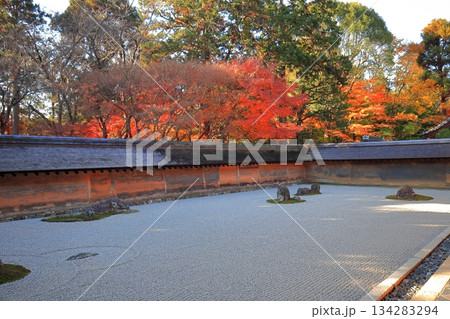 【京都府】龍安寺の石庭と紅葉 【京都府】龍安寺の石庭と紅葉 134283294