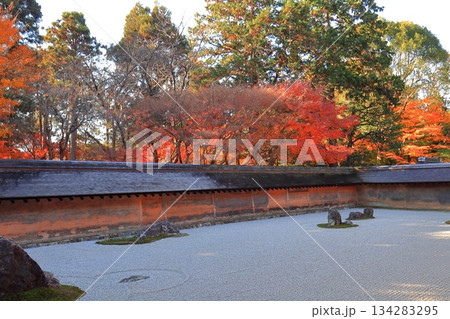 【京都府】龍安寺の石庭と紅葉 134283295