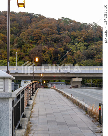 猪名川に架かる絹延橋と五月山の紅葉 134283310