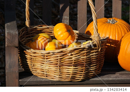 ベンチにあるカボチャ。 134283414