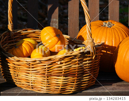 ベンチにあるカボチャ。 134283415