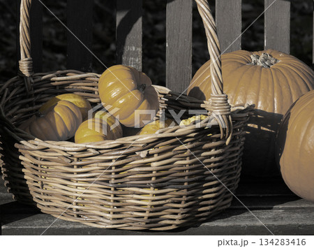 ベンチにあるカボチャ。 134283416