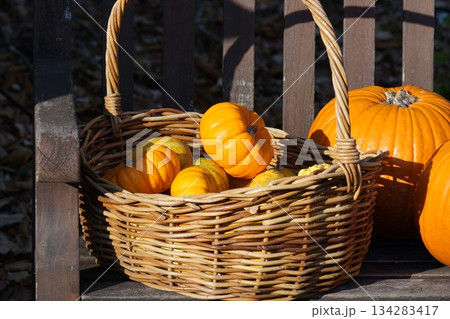 ベンチにあるカボチャ。 134283417