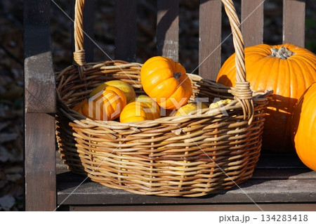 ベンチにあるカボチャ。 134283418