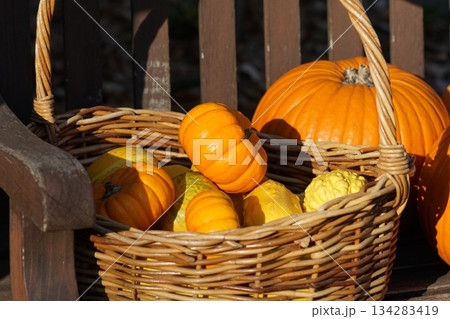 ベンチにあるカボチャ。 134283419