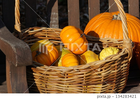 ベンチにあるカボチャ。 ベンチにあるカボチャ。 134283421