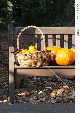 ベンチにあるカボチャ。 134283422