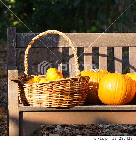 ベンチにあるカボチャ。 134283423