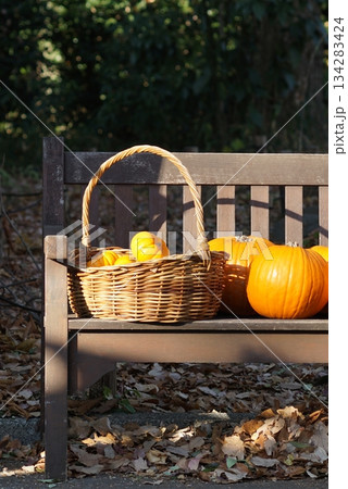 ベンチにあるカボチャ。 134283424
