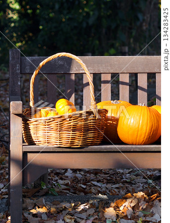 ベンチにあるカボチャ。 134283425
