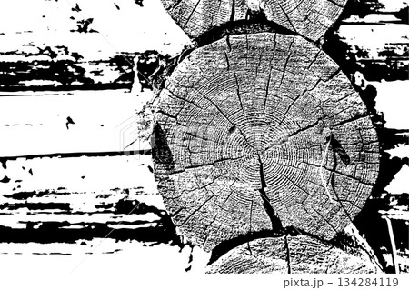 Rustic Tree Trunk Rings Texture Rustic Tree Trunk Rings Texture 134284119