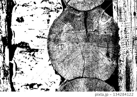 Rustic Tree Trunk Rings Texture 134284122