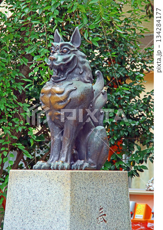 稲毛神社（川崎） 134284177