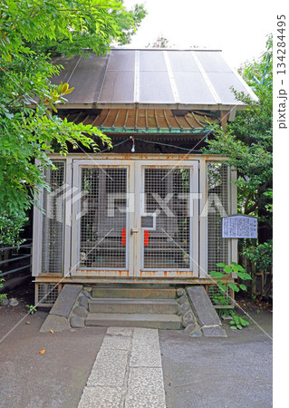 稲毛神社（川崎） 134284495