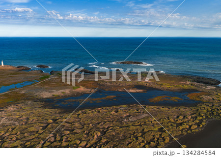 A white lighthouse stands on a rugged Icelandic shoreline with moss covered terrain, shallow water pools, and a vast blue ocean under a partly cloudy sky. 134284584
