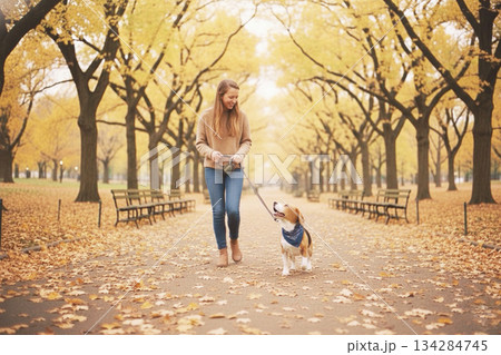 秋の紅葉の公園でお散歩を楽しむビーグル犬 134284745