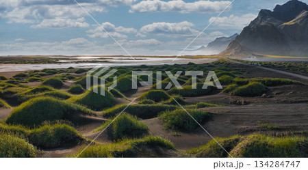Black sand dunes with green grass on Stokksnes Peninsula, Iceland, with the Vestrahorn mountains and reflective coastline under a partly cloudy sky. 134284747