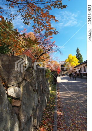 上田城の紅葉 上田城の紅葉 134284921