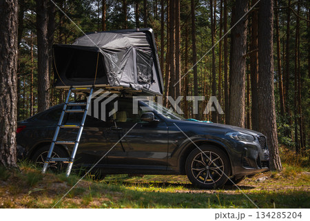 A dark colored BMW X4 2025 parked in a pine forest with a rooftop tent and ladder. Sunlight filters through the trees, casting shadows on the ground. 134285204