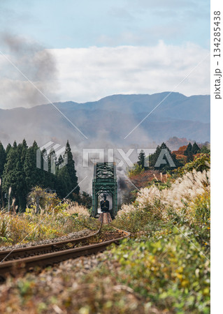 秋の磐越西線とSLばんえつ物語号 C57180 ノスタルジックな風景 134285438
