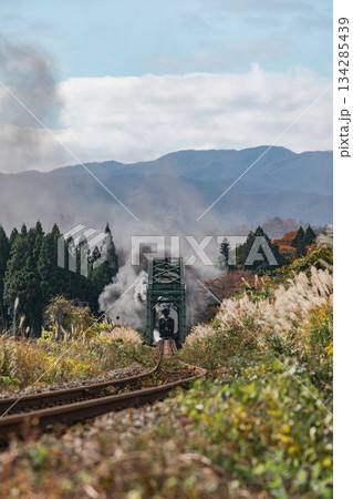 秋の磐越西線とSLばんえつ物語号 C57180 ノスタルジックな風景 134285439
