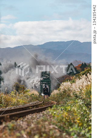 秋の磐越西線とSLばんえつ物語号 C57180 ノスタルジックな風景 134285442