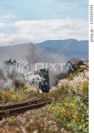 秋の磐越西線とSLばんえつ物語号 C57180 ノスタルジックな風景 134285445