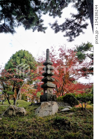 紅葉と石塔 紅葉と石塔 134286244