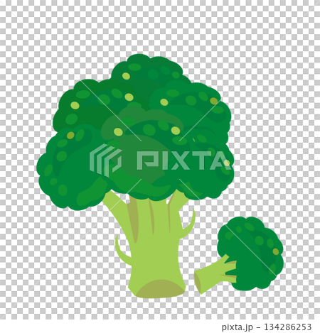 簡單的硬花甘藍的例證 簡單的硬花甘藍的例證 134286253