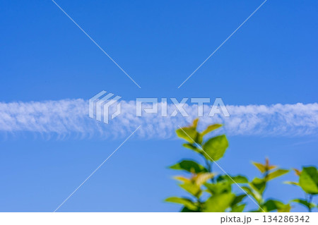 すじ状の雲と青空とりんごの葉 134286342