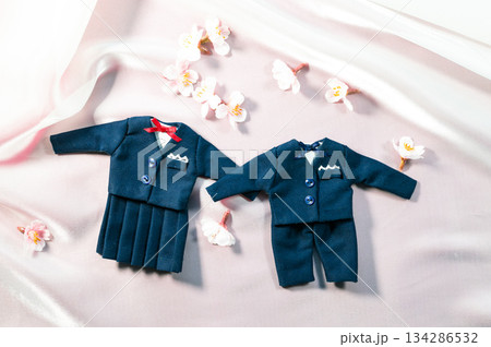 入学式イメージ 134286532