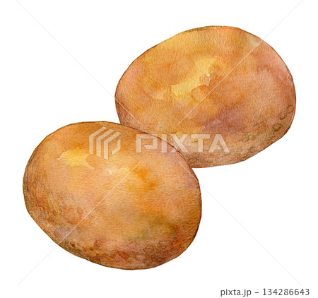 水彩イラスト 手描きイラスト 佐賀ぼうろ 水彩イラスト 手描きイラスト 佐賀ぼうろ 134286643