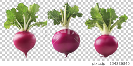 Fresh red turnip with green leaves isolated on white transparent background. Concept of healthy organic vegetables, nutrition, and farming 134286840