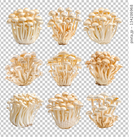 Set of White Enoki mushroom isolated on a white transparent background 134286968