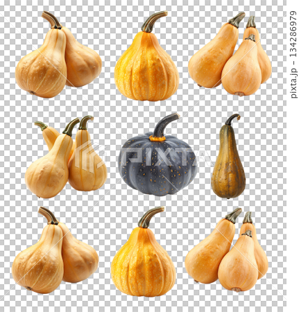 Butternut squash isolated on a white transparent background, great for autumn themes and decorations 134286979