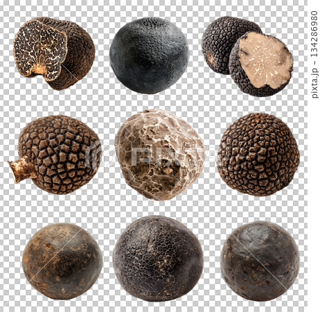 Closeup of norcia and bianchetto truffle showcasing its detailed texture and pattern, isolated on a white background. Closeup of norcia and bianchetto truffle showcasing its detailed texture and pattern, isolated on a white background. 134286980