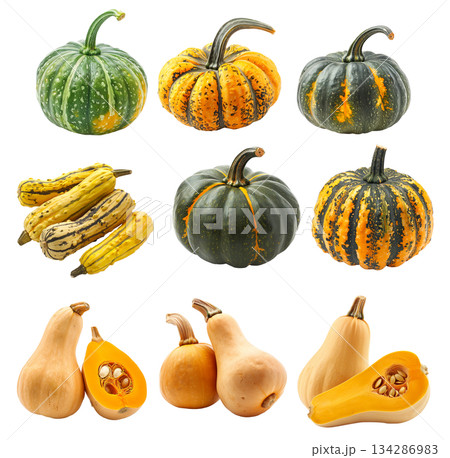 Amber cup squash isolated on a white background, great for autumn themes and decorations Amber cup squash isolated on a white background, great for autumn themes and decorations 134286983