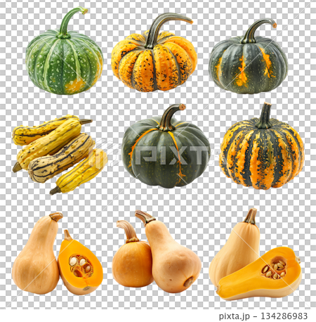 Amber cup squash isolated on a white background, great for autumn themes and decorations 134286983