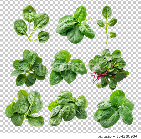 Vibrant baby spinach leaves isolated on a white background. Perfect for culinary use 134286984