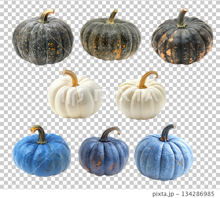 Blue Jarrahdale and Connecticut pumpkin with a green stem isolated on a white background 134286985