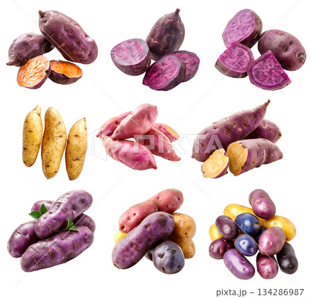 Fingerling potatoes isolated on a white background 134286987