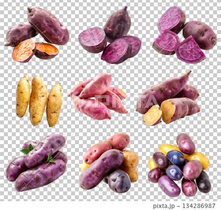 Fingerling potatoes isolated on a white background Fingerling potatoes isolated on a white background 134286987