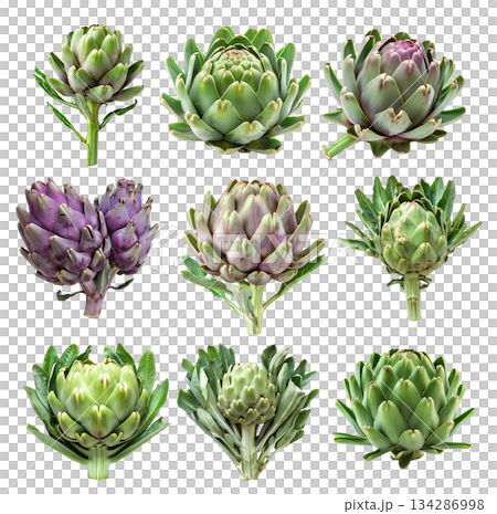 Set of Green artichoke with a purple base is isolated on a white background 134286998