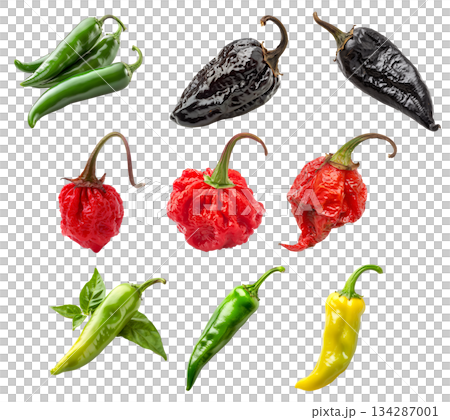 Set of Red Carolina Reaper, Black chipotle or Ancho chili pepper isolated on a white background 134287001