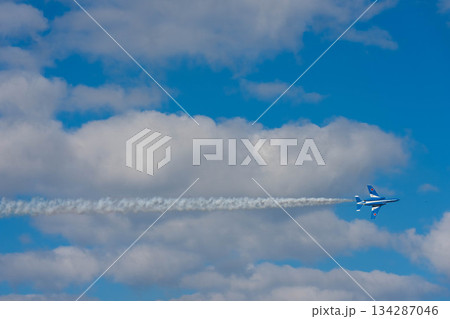 ブルーインパルス74 134287046
