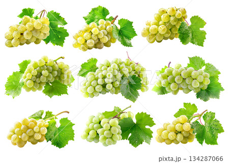 Set of white grapes hanging on the vine with green leaves, isolated on a white transparent background 134287066